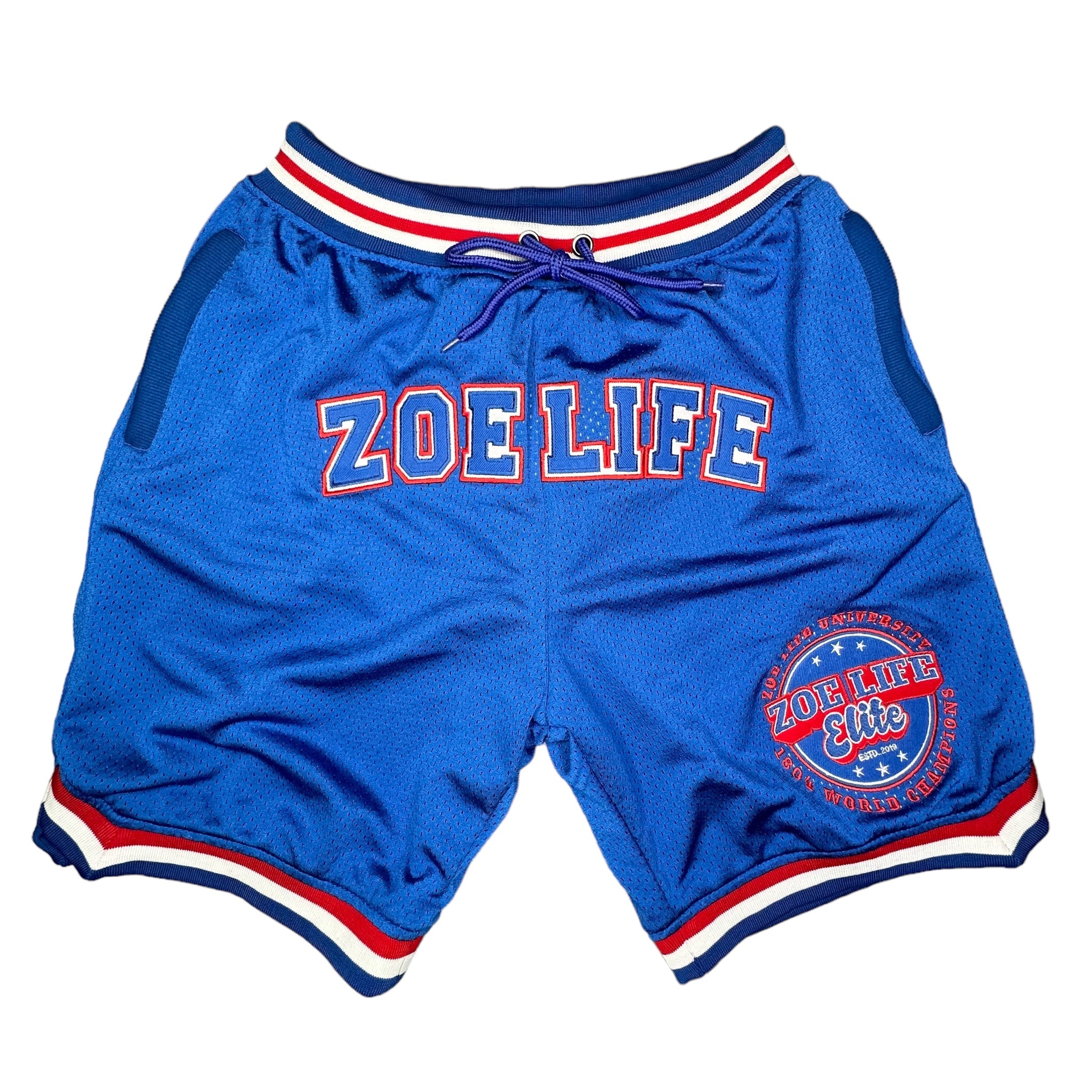 ZL Mesh Shorts – ZOE LIFE UNIVERSITY