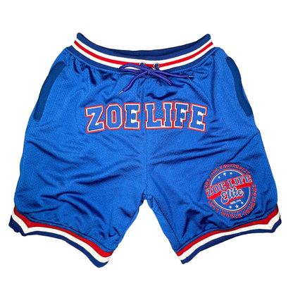 ZL Mesh Shorts